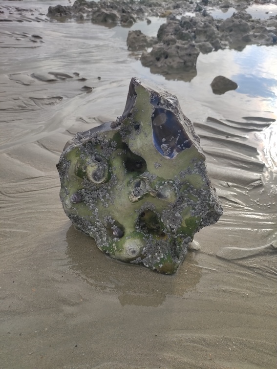 &amp;laquo; &amp;Ecirc;tre sculpteur, c'est &amp;ecirc;tre un fleuve &amp;raquo;. Giuseppe Penone